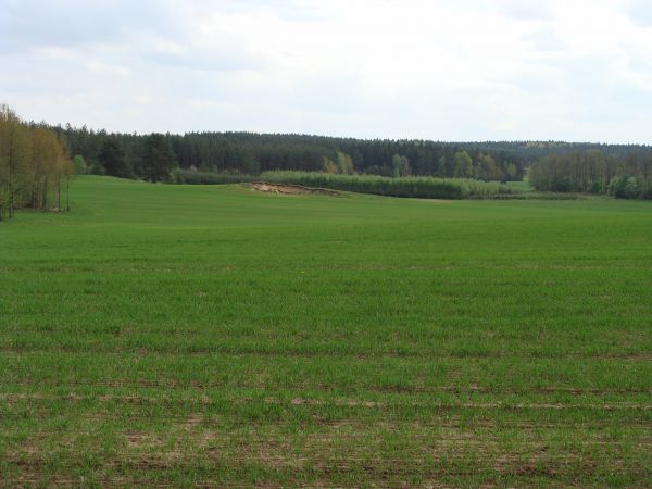 Najbliższa okolica:)