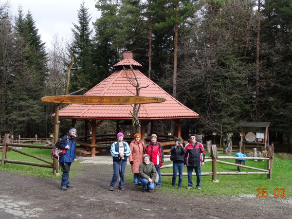 przed / obok : altany "Darz Bór" - przed wejściem na Ścieżkę przyrodniczo - dydaktyczną "Brzozów - Zdrój".