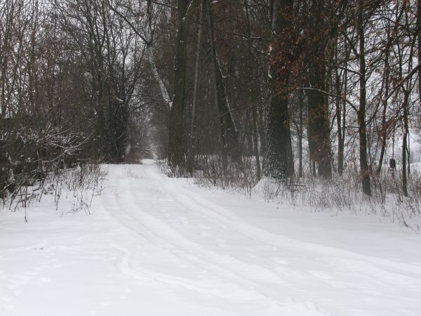 zdjecie Wola Wężykowa