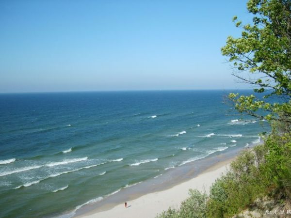 Jastrzębia Góra -Cliff