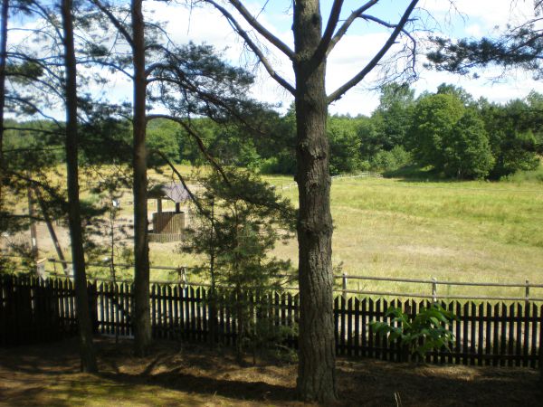 Widok z domku nr.69