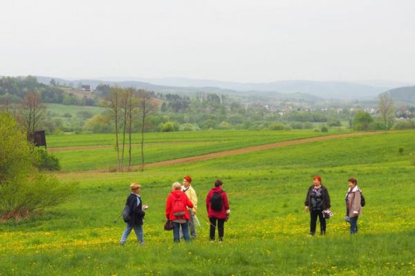 poniżej gęstwiny lasu - poniżej pasma Długi Dział - hen Sanok w dolinie Sanu.