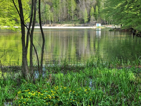 zdjecie Wodzisław Śląski
