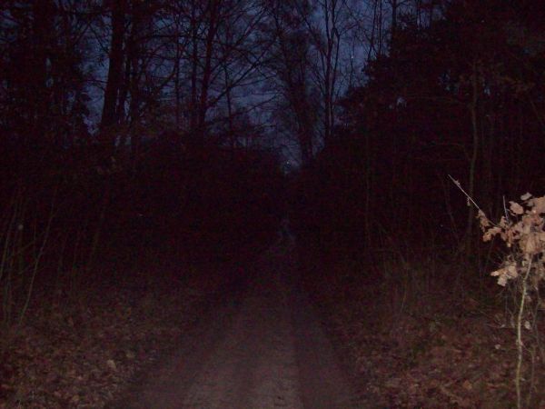 Droga przez Wrześnie nocą