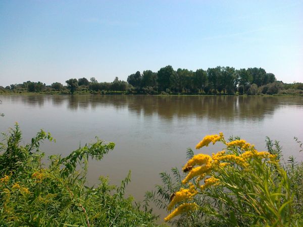 Pejzaże sentymentalne w pełni lata -na drugim brzegu też jest romantycznie  .