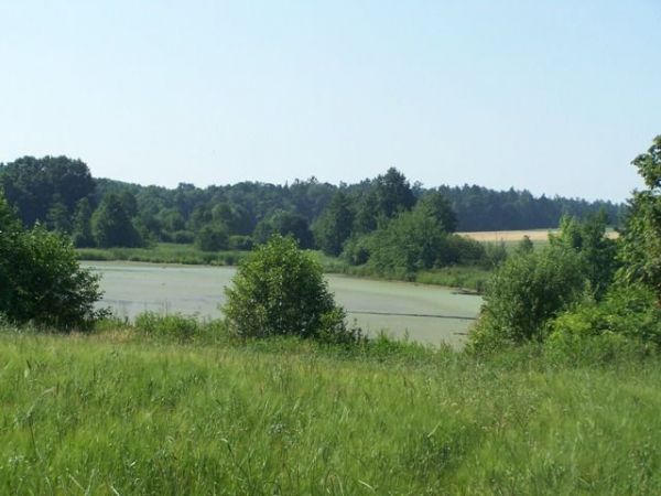 Grojeckie stawy [ www.naszgrojec.pl]