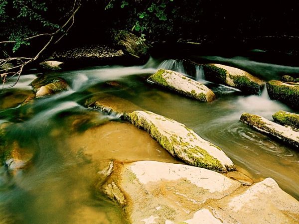 Nowosiółki - Hoczewka 3