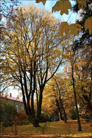 Klasztor i park  ss. Niepokalanek na Głębokiej.