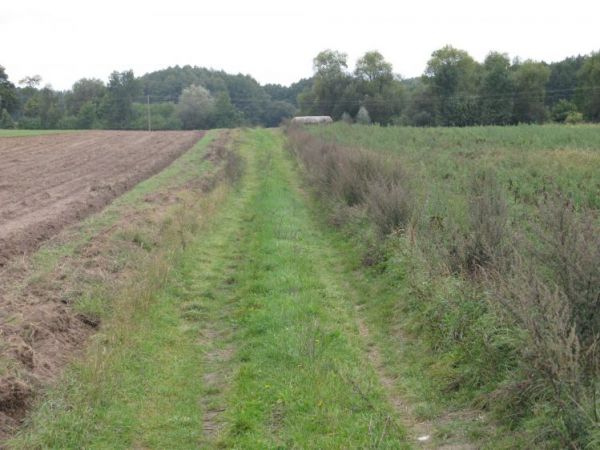 Widok od strony polnej drogi wiodącej w kierunku schronu obserwacyjno - bojowego nr 15