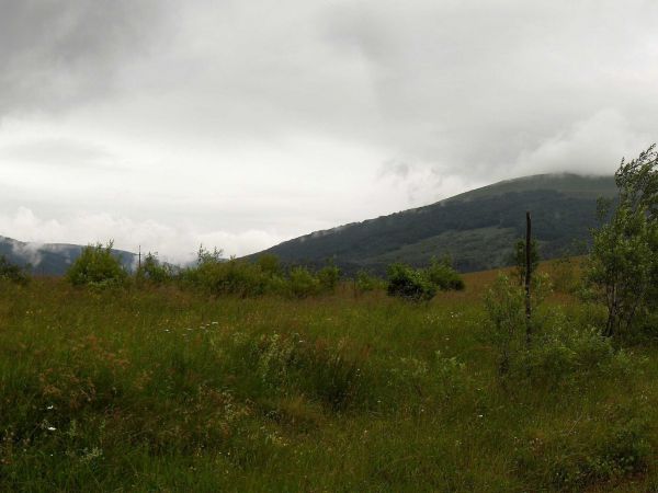 W dali widać Połoninę Caryńską