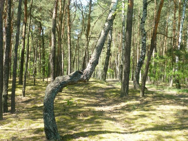 zdjecie Wola Wężykowa