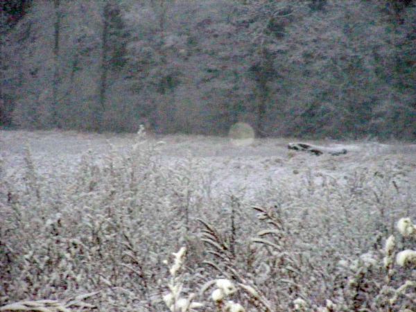 zdjecie Będzieszewo