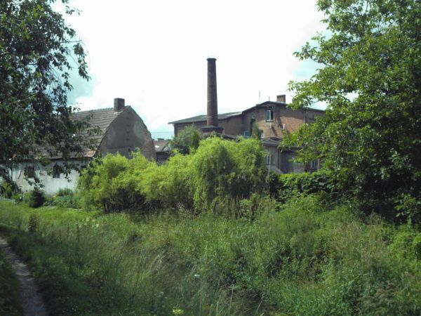 Nowowiejska mleczarnia od zaplecza.