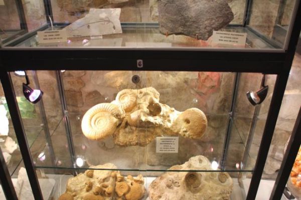 eksponaty prezentowane w gablotach - wystawa archeologiczna w niżej położonych kondygnacjach zamkowych.