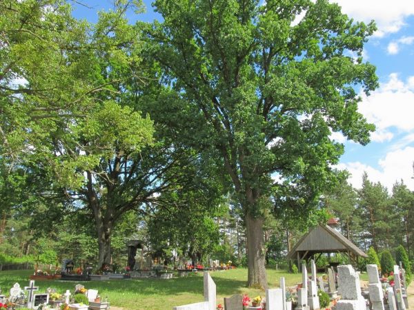 Cmentarz parafialny w Hucie Kalnej