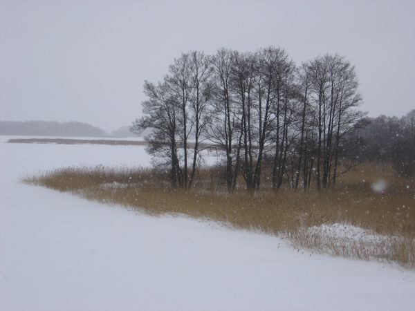 Skute lodem Jezioro Kirsajty 01.01.2011