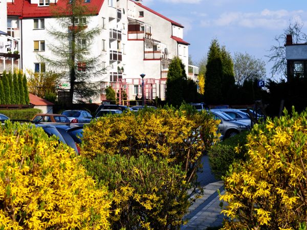 Wodzisław Śl.os. Dąbrówki