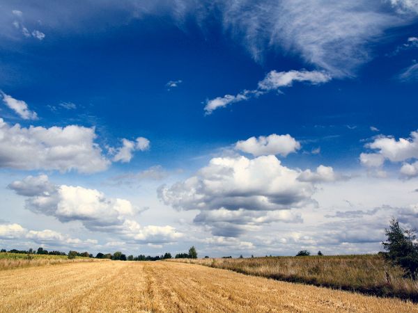 zdjecie Tyniewicze Duże