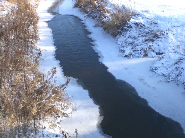 zdjecie Stare Siołkowice