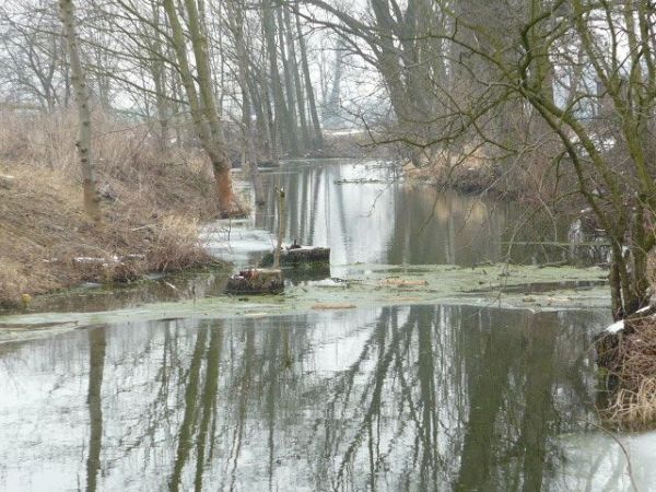 Marzec.2009.Szaro i ponuro na naszej Buczynce ,ale niedługo przyroda zacznie się budzić