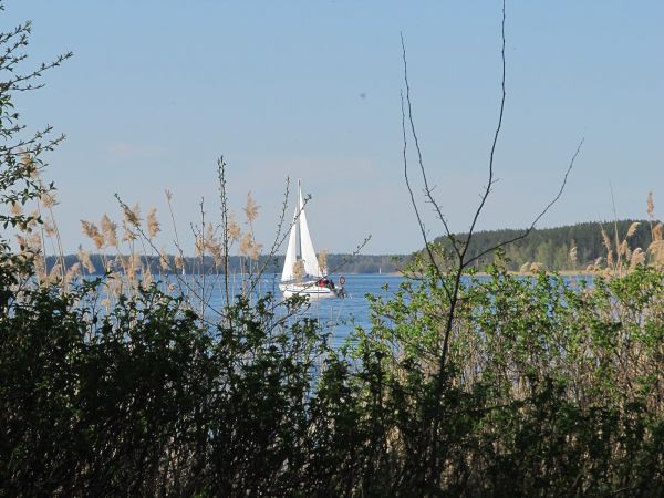 Jezioro Wdzydze przy OW Jasnochówka