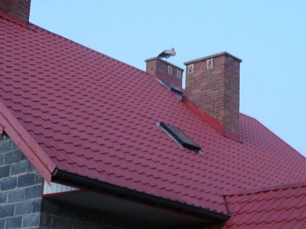 Wieś przyjazna środowisku