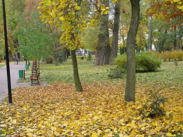 zdjecie Starogard Gdański