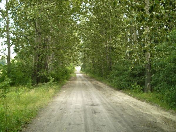 zdjecie Orłów Murowany