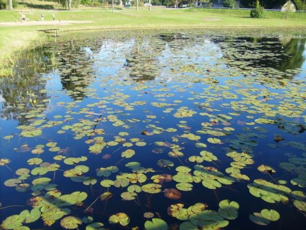 zdjecie Wołcza Mała