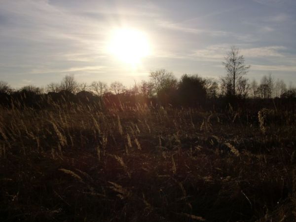 zdjecie Wierzchosławice