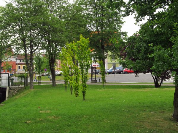 Park Tysiąclecia w Chojnicach