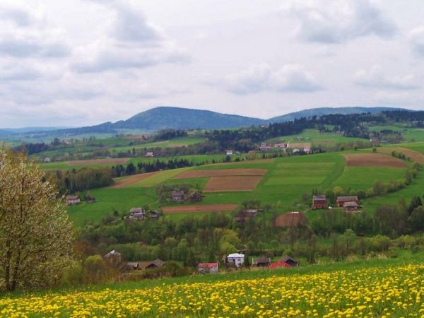 Wojnarowa. Widok na przysilek Mosteczna,a w oddali Gòra Rosochatka. Fot. Daniel L.