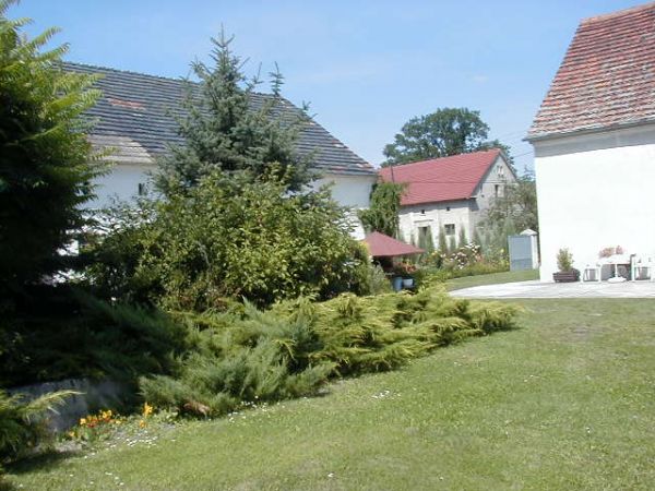 Gospodarstwo państwa Tarnowskich-ul. Reymonta 4