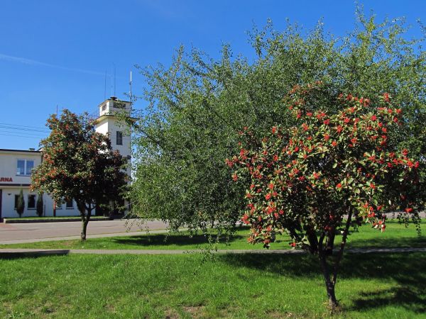 Centrum handlowe i zarazem centrum miasta przy drodze krajowej nr 22 (Gorzów - Elbląg).