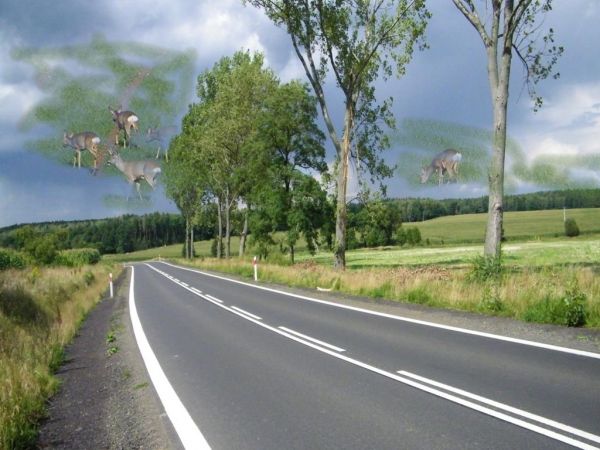 fantazja fotograficzna