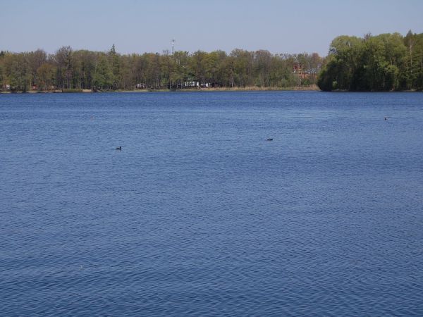 Ośrodek rekreacyjno - wypoczynkowy w antoninie