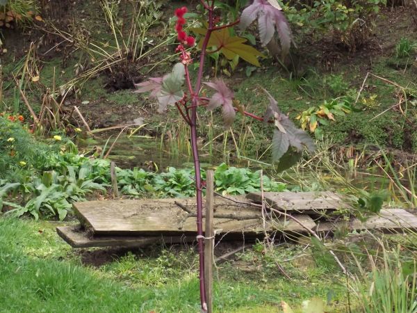 tu wiele może zaskoczyć ! - urodą i egzotyką, coś się w życiu widziało ale też i tu dużo do zobaczenia, poznania, podziwiania - gratulujemy !