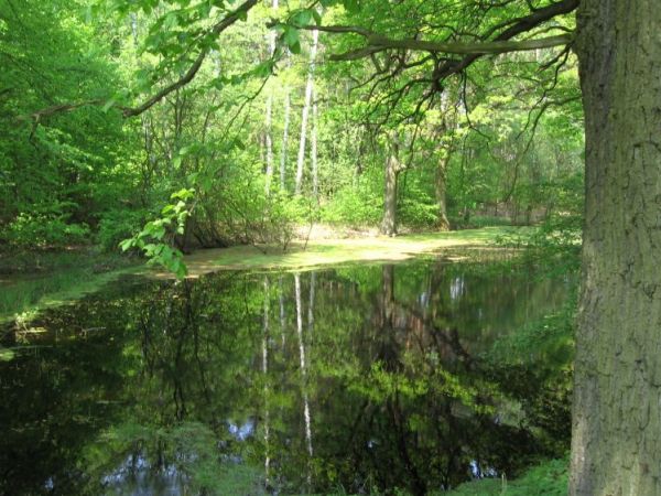 zdjecie Lubów