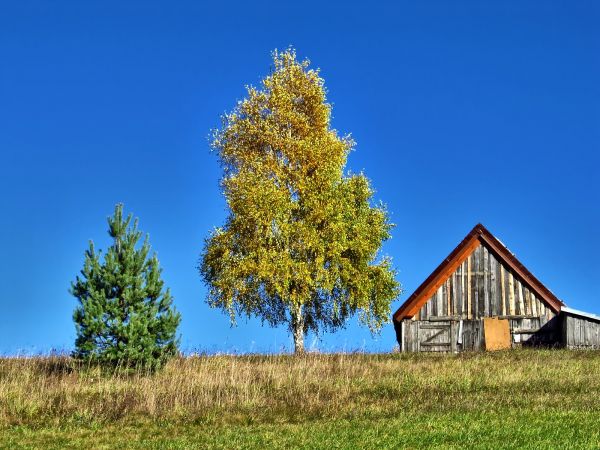 To zdjęcie znane już w internecie na różnych stronach z galeriami