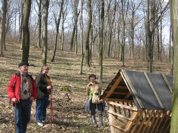 Wzgórza "Szczodre" grzbiet góry: 472m npm - idziemy leśnym duktem od Kostarowiec, schodzimy do  Strachociny a po trasie paśnik i lizawka.