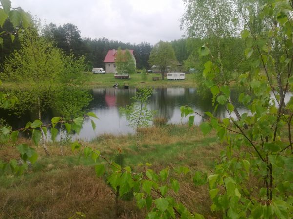 Przyczepy do wynajęcia