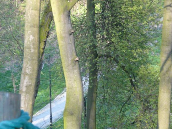Park piszczele