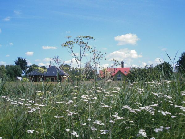 Gdzieś przy ul. Weterynaryjnej.