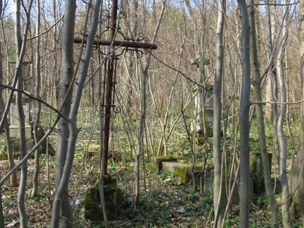 na cmentarzu wyznawców obrządku grecko-katolickiego, do czasu wysiedleń - mieszkańców tej wsi - duży płat barwinka stanowi poszycie leśne, cmentarne.