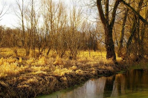 Dawne jezioro, które zostało osuszone poprzez kanał meriolacyjny