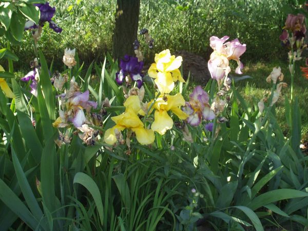 Oczko w głowie Bródzkoskich gospodyń.