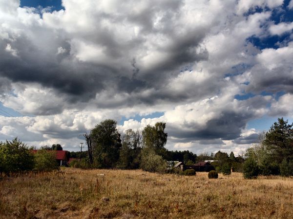 zdjecie Tyniewicze Duże