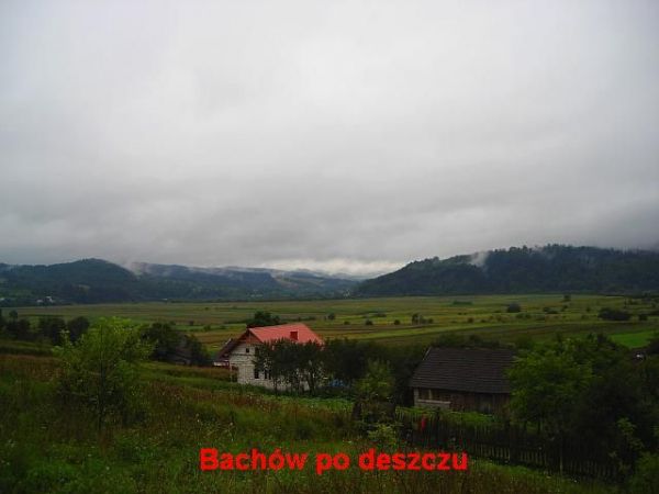 zdjecie Bachów