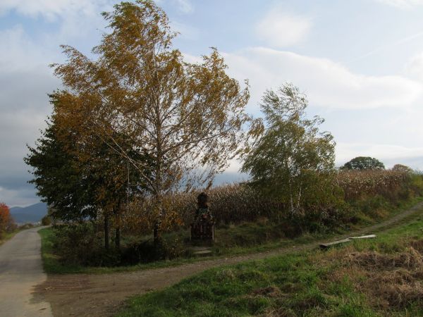 zdjecie Pietrzykowice