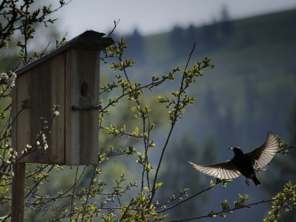 zdjecie Białka Tatrzańska